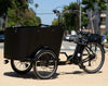 The Family Cargo Bike- Carrying Kid's Bike