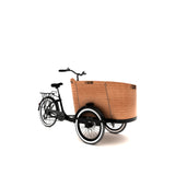 The Family Cargo Bike- Carrying Kid's Bike